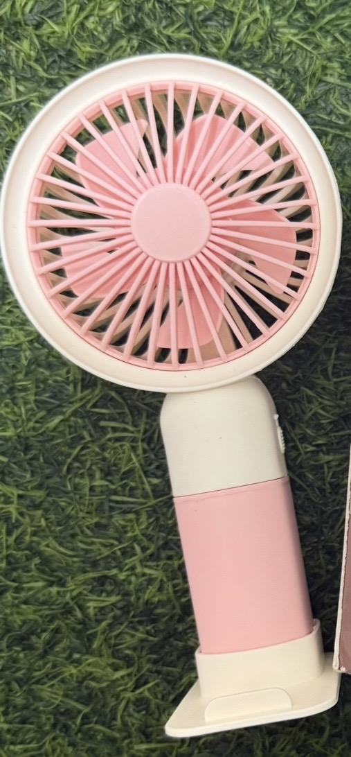 Bridal fan