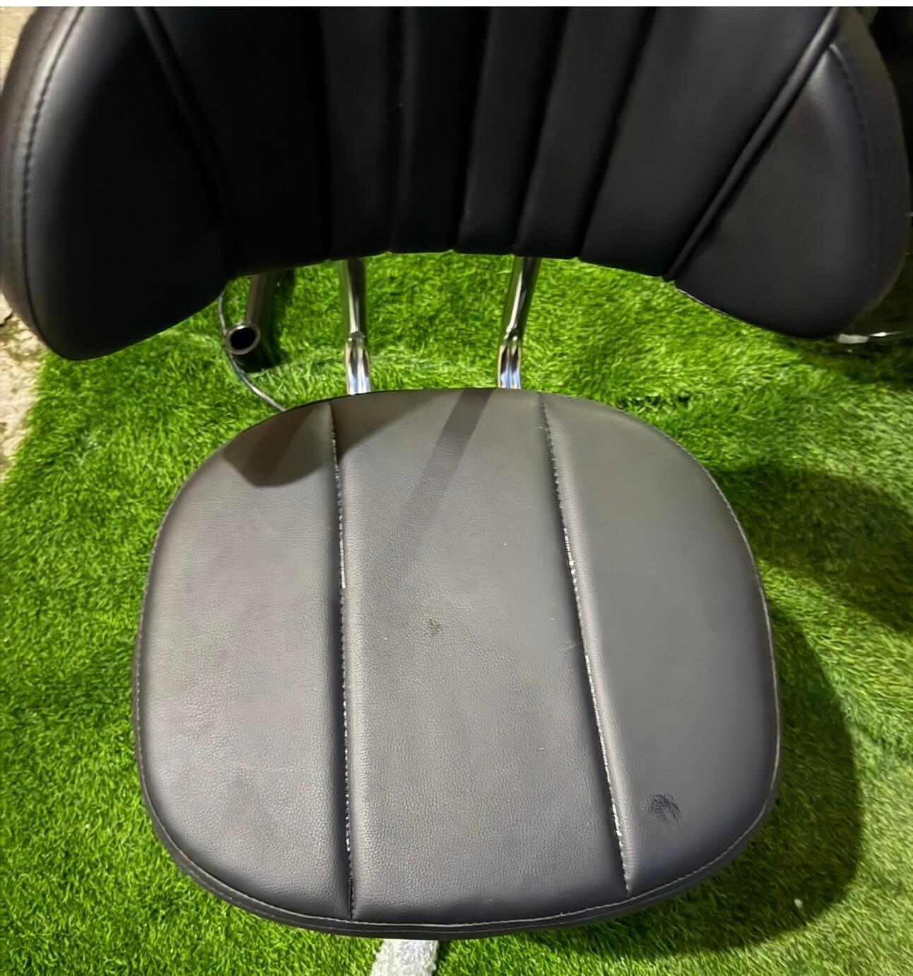 Chair with back rest